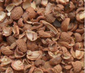 核桃深加工——核桃油，核桃粉，核桃工藝品，活性炭制品(圖3)