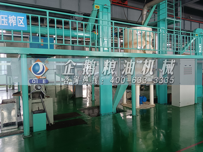 企鵝牌茶籽油雙螺桿榨油機，用心制造獲得客戶認可(圖3)