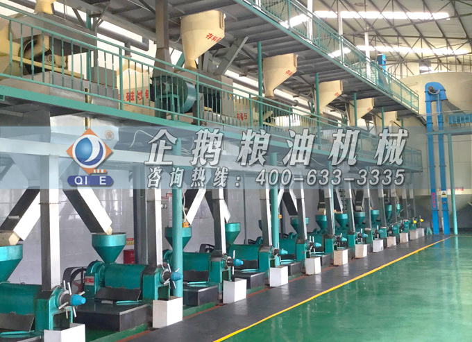 如何降低壓榨花生油中黃曲霉毒素含量？企鵝糧油機(jī)械為您提供可靠方法(圖2)