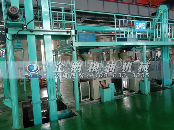 企鵝牌核桃油榨油設(shè)備，生產(chǎn)綠色健康油受大眾喜愛(圖4)