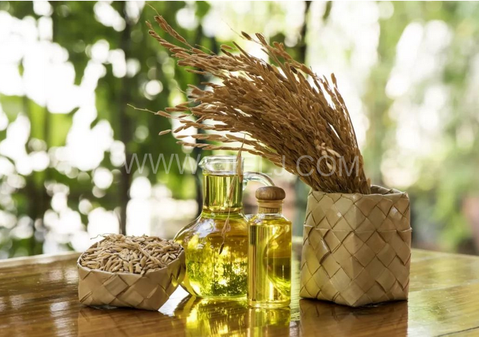 米糠油精煉設(shè)備，企鵝機(jī)械不斷創(chuàng)新提升工藝效果(圖1)